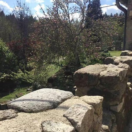 Faux-la-MontagneCastle Terraceアパートメント エクステリア 写真